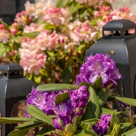 Na Tokaji Empora * Veľká Tŕňa