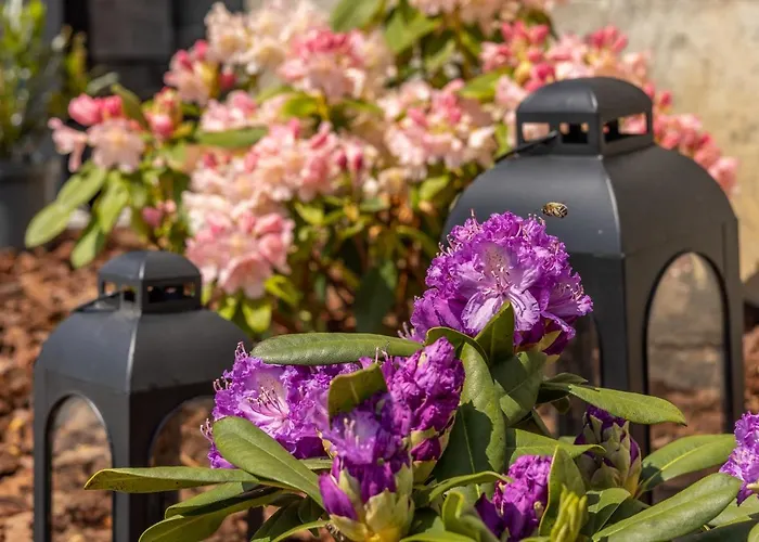 Na Tokaji Empora * Velka Trna